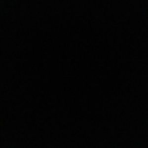 Meet your Posher, Joey